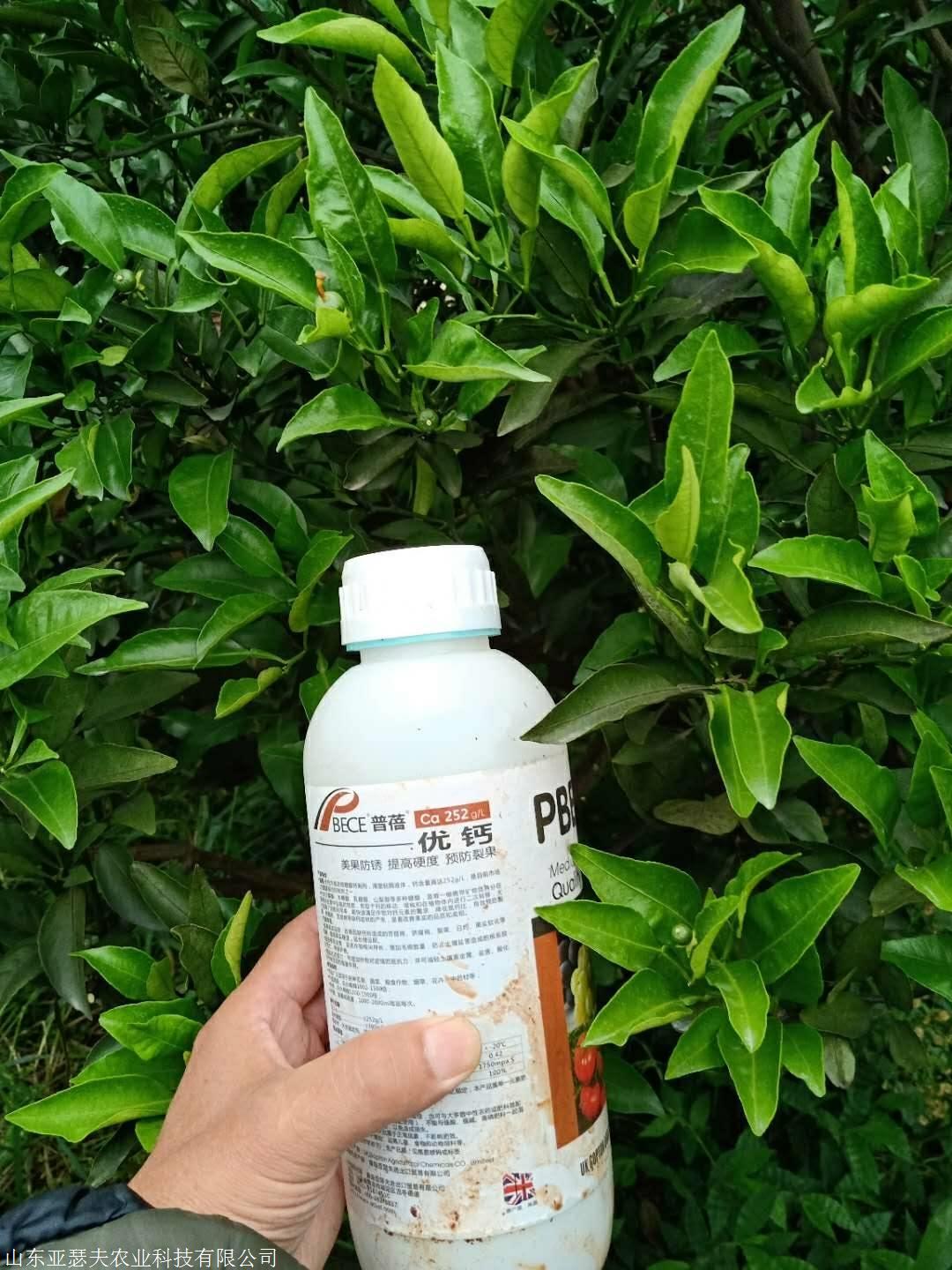 进口叶面肥有哪些品牌？看完这篇你就懂了