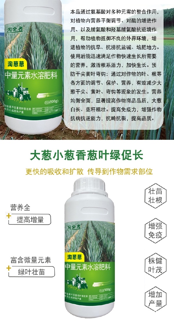 葱类专用叶面肥 大葱、香葱、圆葱如何高效实现防裂增粗与膨大增产